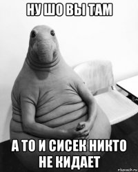 ну шо вы там а то и сисек никто не кидает