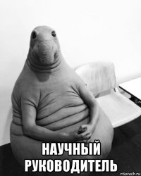  научный руководитель