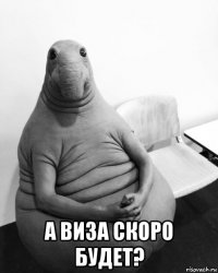  а виза скоро будет?