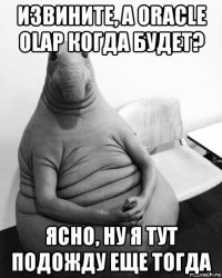 извините, а oracle olap когда будет? ясно, ну я тут подожду еще тогда