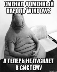 сменил доменный пароль windows а теперь не пускает в систему