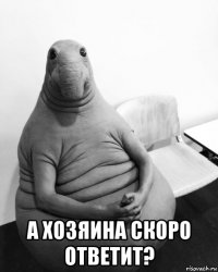  а хозяина скоро ответит?