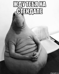 жду тебя на стендапе 