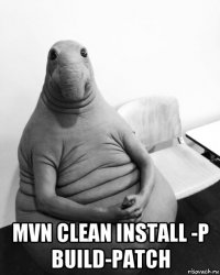  mvn clean install -p build-patch