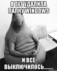 я тут удалила папку windows и всё выключилось........