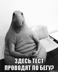  здесь тест проводят по бегу?