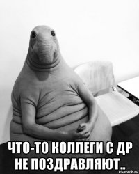  что-то коллеги с др не поздравляют..