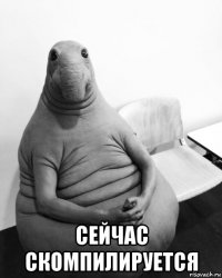  сейчас скомпилируется