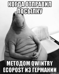 когда отправил посылку методом qwintry ecopost из германии