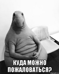  куда можно пожаловаться?