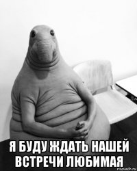  я буду ждать нашей встречи любимая