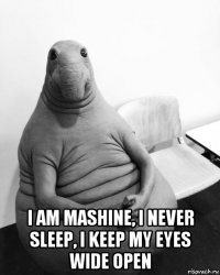  i am mashine, i never sleep, i keep my eyes wide open