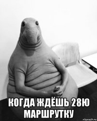  когда ждёшь 28ю маршрутку