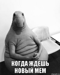  когда ждешь новый мем