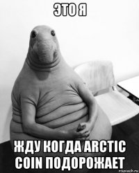 это я жду когда arctic coin подорожает