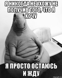 я никогда не ухожу не получив того, что я хочу я просто остаюсь и жду