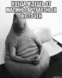 когда ждешь от малины артхаузных фоточек 