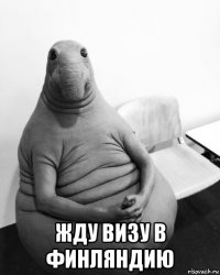  жду визу в финляндию