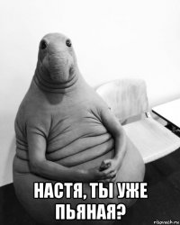  настя, ты уже пьяная?