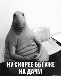  ну скорее бы уже на дачу!