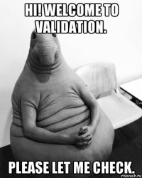 hi! welcome to validation. please let me check.