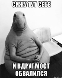 сижу тут себе и вдруг мост обвалился