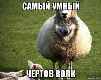 самый умный чертов волк