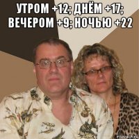 утром +12; днём +17; вечером +9; ночью +22 