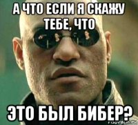 а что если я скажу тебе, что это был бибер?