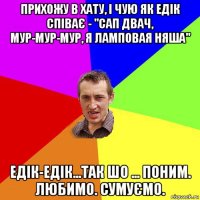 прихожу в хату, і чую як едік співає - "сап двач, мур-мур-мур, я ламповая няша" едік-едік...так шо ... поним. любимо. сумуємо.