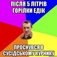 після 5 літрів горілки едік проснувся в сусідському курнику