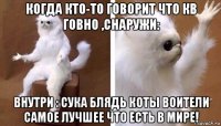 когда кто-то говорит что кв говно ,снаружи: внутри : сука блядь коты воители самое лучшее что есть в мире!