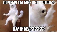 почему ты мне не пишешь? пачиму??????