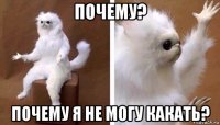 почему? почему я не могу какать?