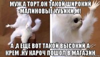 муж а торт.он такой широкий малиновые кубики,м! а ,а еще вот такой высокий а крем .ну кароч пошол в магазин