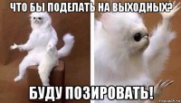 что бы поделать на выходных? буду позировать!