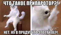 что такое припаротор?! нет, ну в праду! что это такое?!