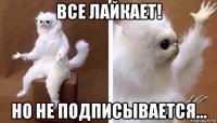 все лайкает! но не подписывается...