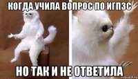 когда учила вопрос по игпзс но так и не ответила