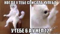 когда у тебе списала кулеба у тебе 6 а у неп 12