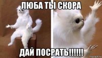 люба ты скора дай посрать!!!!!!