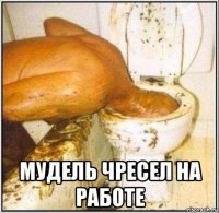  мудель чресел на работе