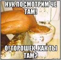 нук посмотрим че там! о! горошек, как ты там?