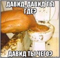 давид, давид ты где? давид ты чего?