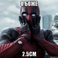 о боже 2.5см