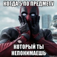 когда 5 по предмету который ты непонимаешь