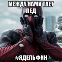 между нами тает лед #ядельфин