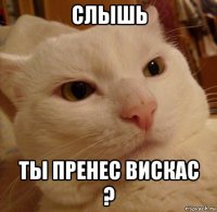 слышь ты пренес вискас ?