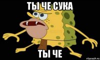 ты че сука ты че