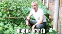  живой огурец